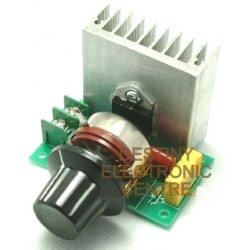 AC Motor Controller (0)