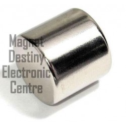 Rare-earth Magnet (0)