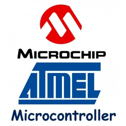MIcrocontrollers (0)
